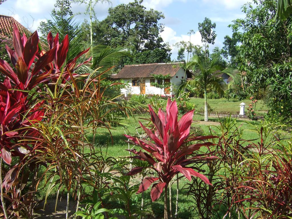 Guesthouse Rumah Senang Kalibaru Exterior foto